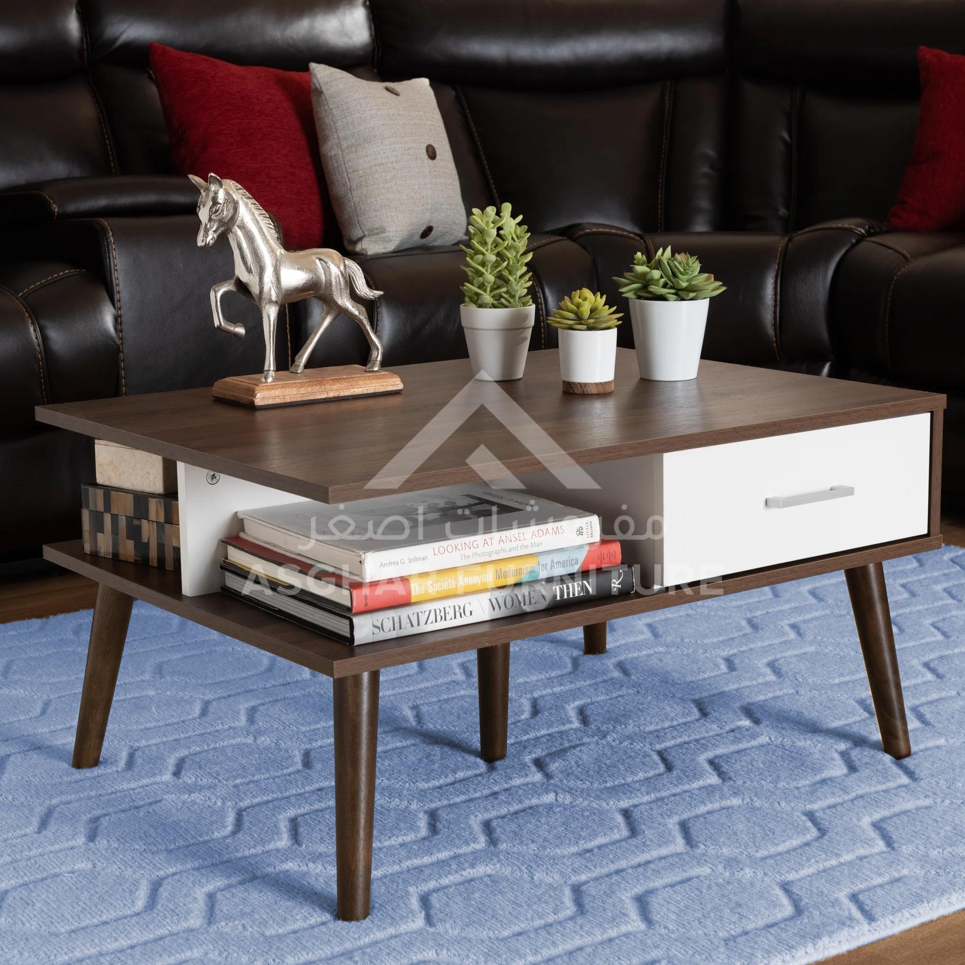 Halin Mid-Century Modern 2-Drawer Coffee Table